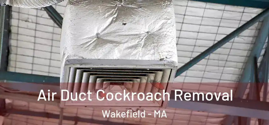  Air Duct Cockroach Removal Wakefield - MA