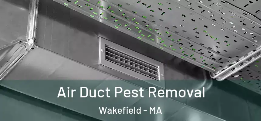 Air Duct Pest Removal Wakefield - MA