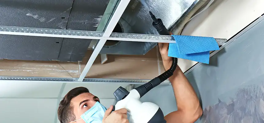 Our Air Duct Rodent Removal Services in Wakefield, MA