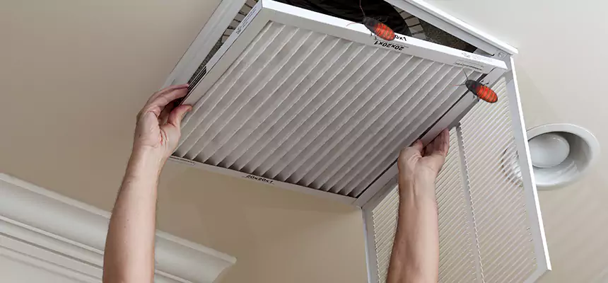 Our Insect Removal from Air Ducts Services in Wakefield, MA