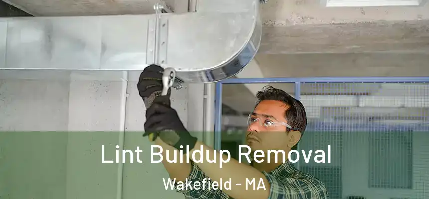  Lint Buildup Removal Wakefield - MA