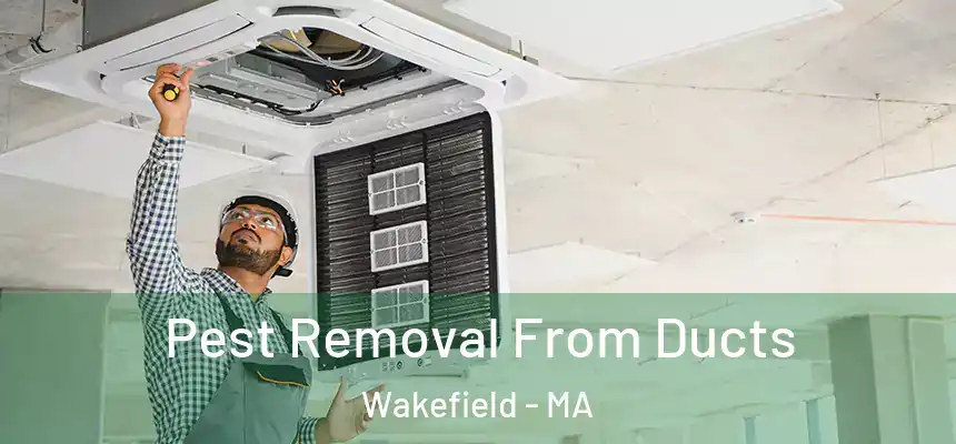 Pest Removal From Ducts Wakefield - MA