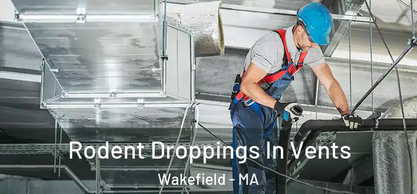  Rodent Droppings In Vents Wakefield - MA