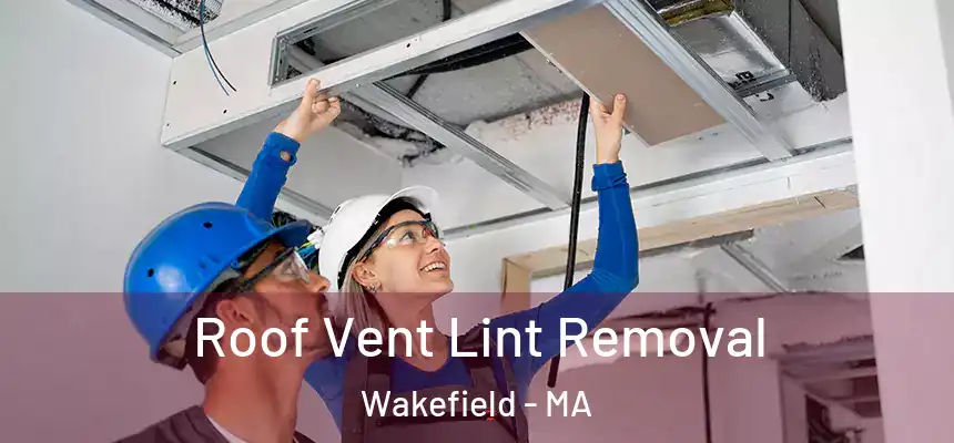  Roof Vent Lint Removal Wakefield - MA