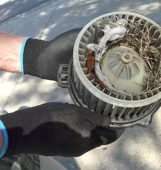 About Air Duct Rat Removal in Wakefield, MA