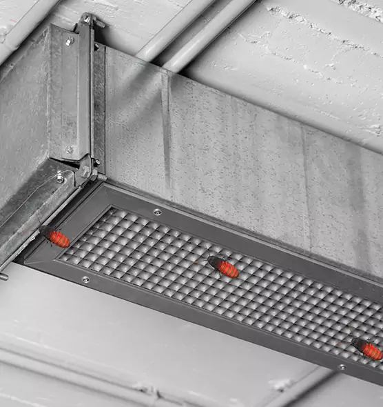 Affordable Insect Removal from Air Ducts in Wakefield, MA
