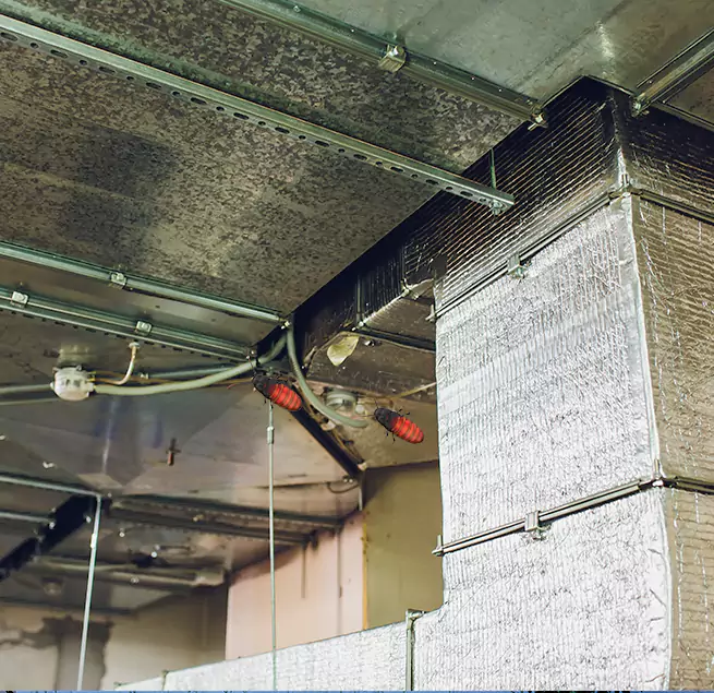 Why Homeowners & Businesses Trust Us in Wakefield, MA?